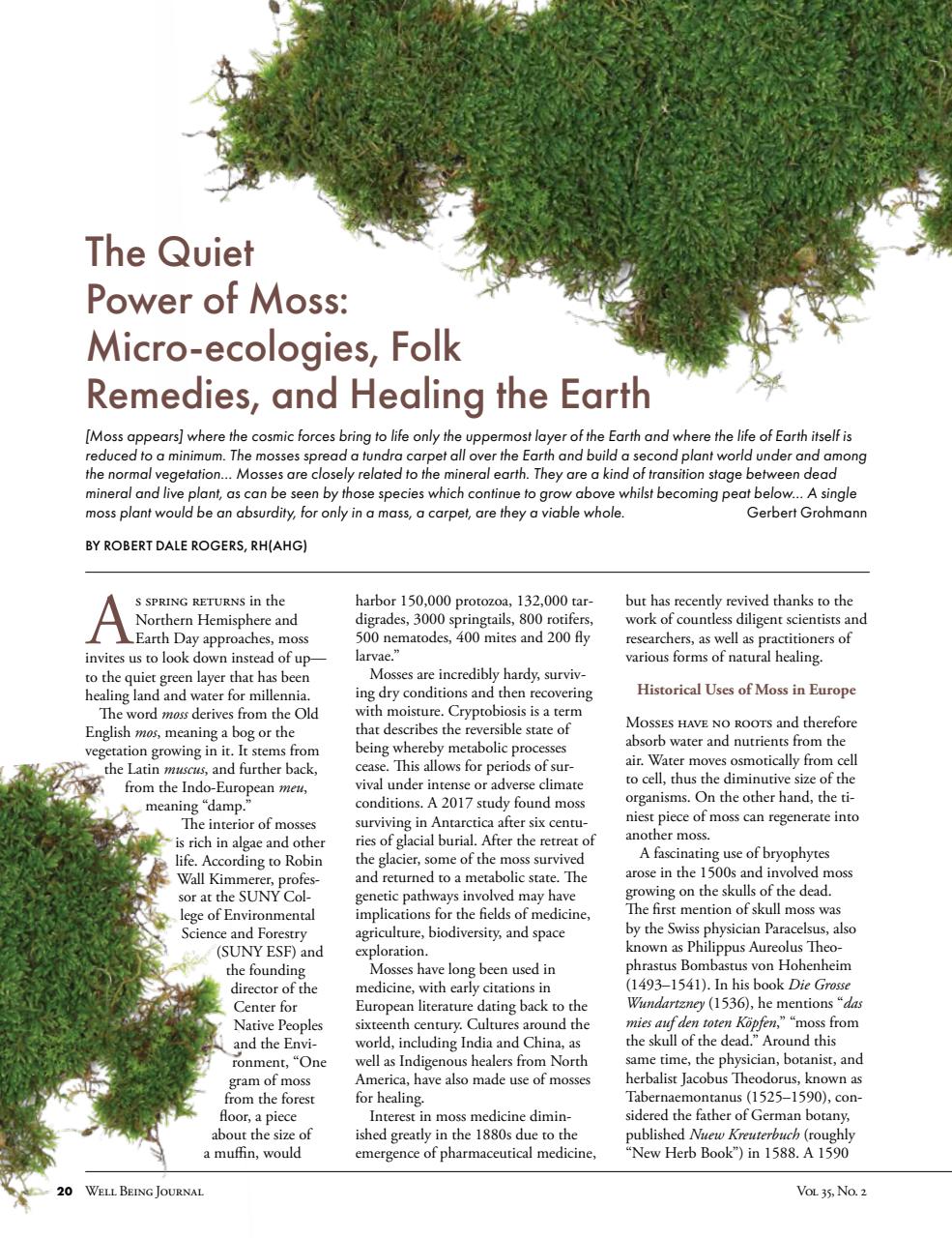 Well Being Journal Preview Pages