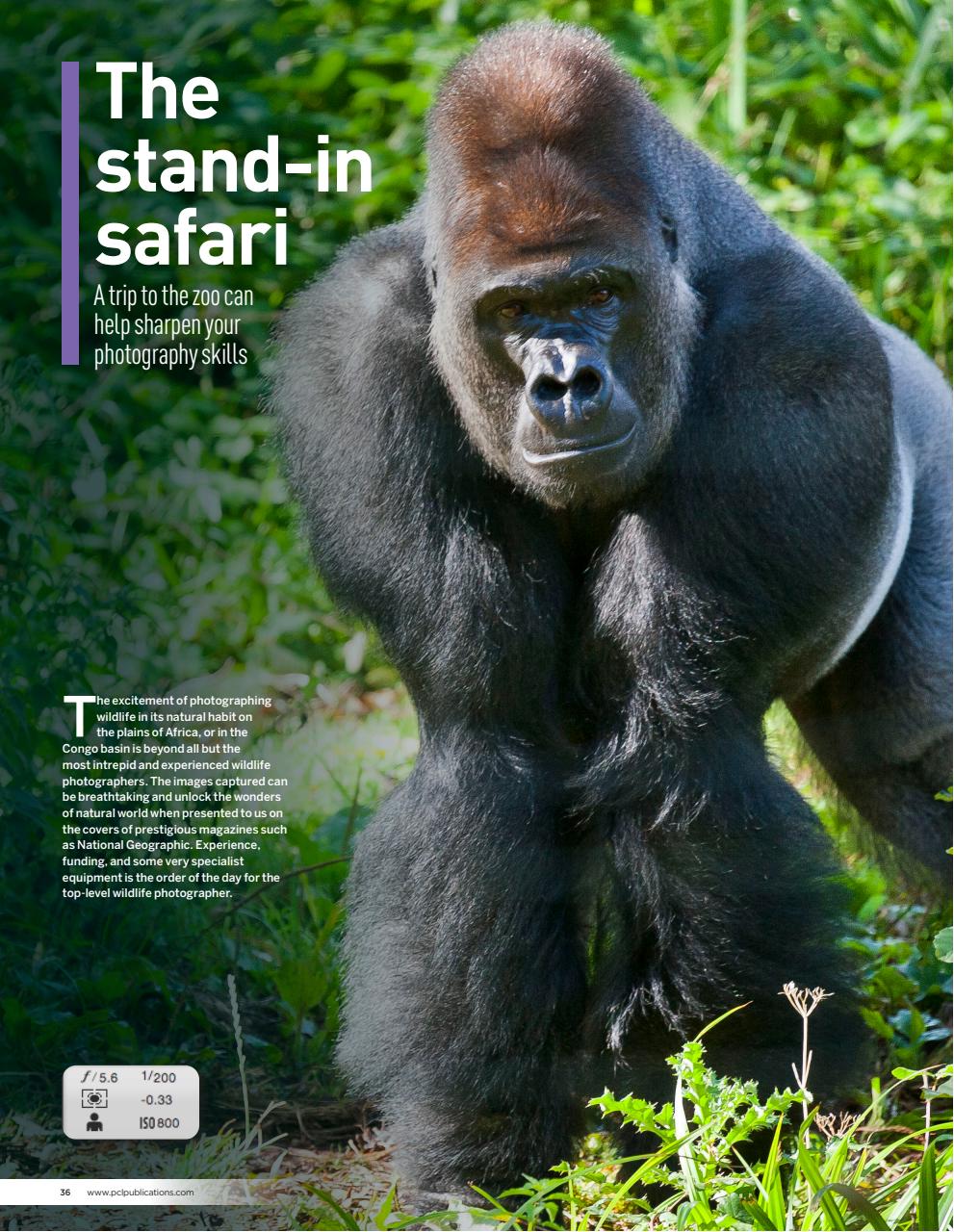 Canon Photography The Complete Manual Preview Pages