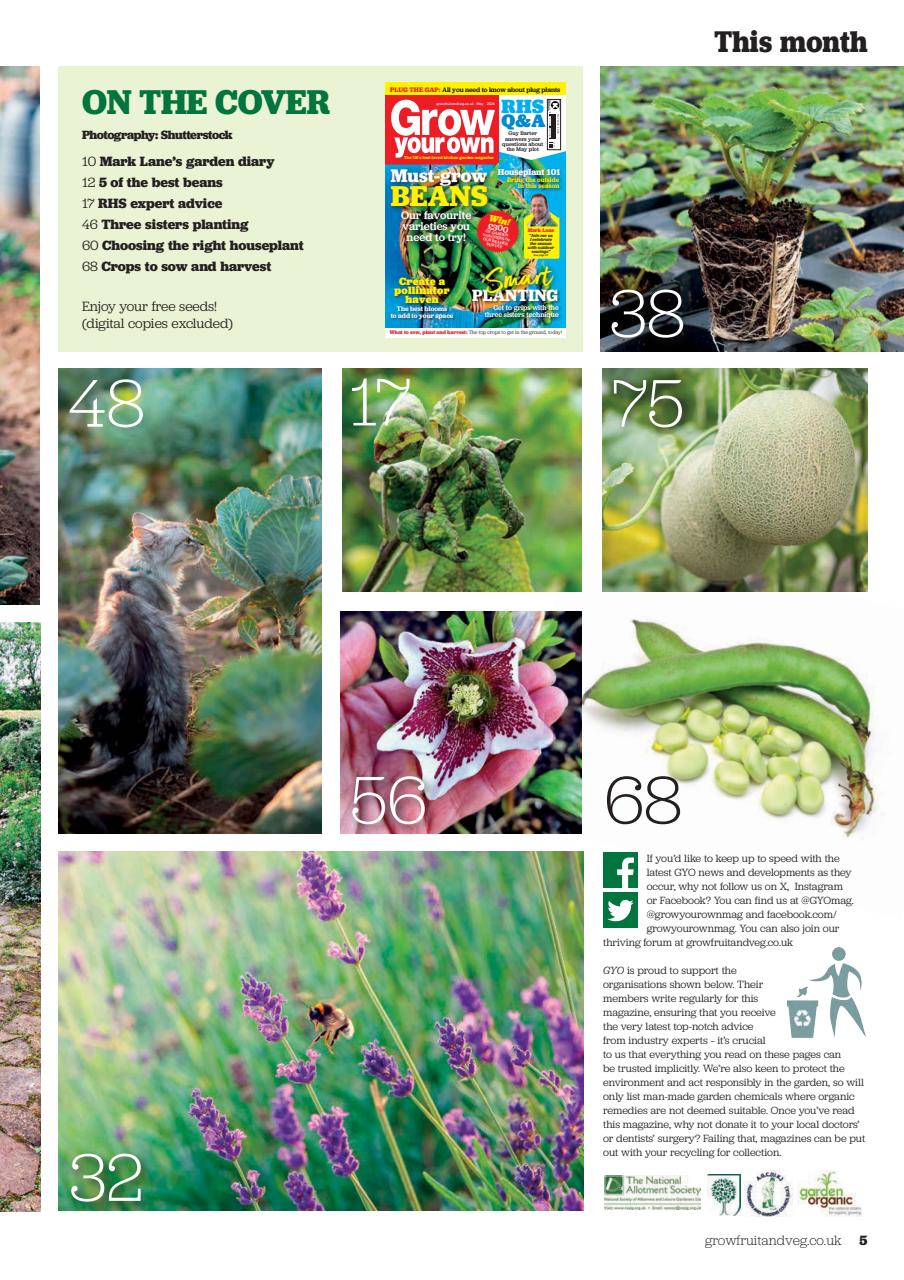 Grow Your Own Preview Pages