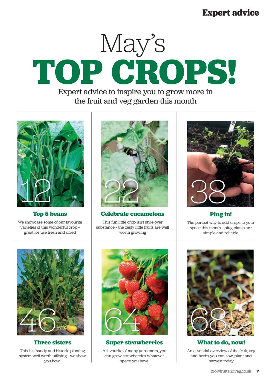 Grow Your Own Preview Pages