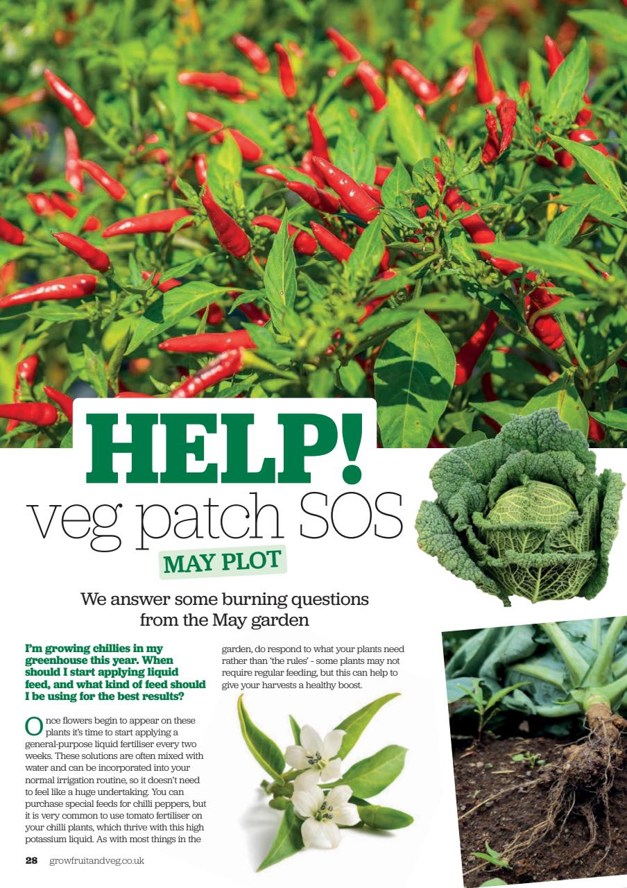 Grow Your Own Preview Pages