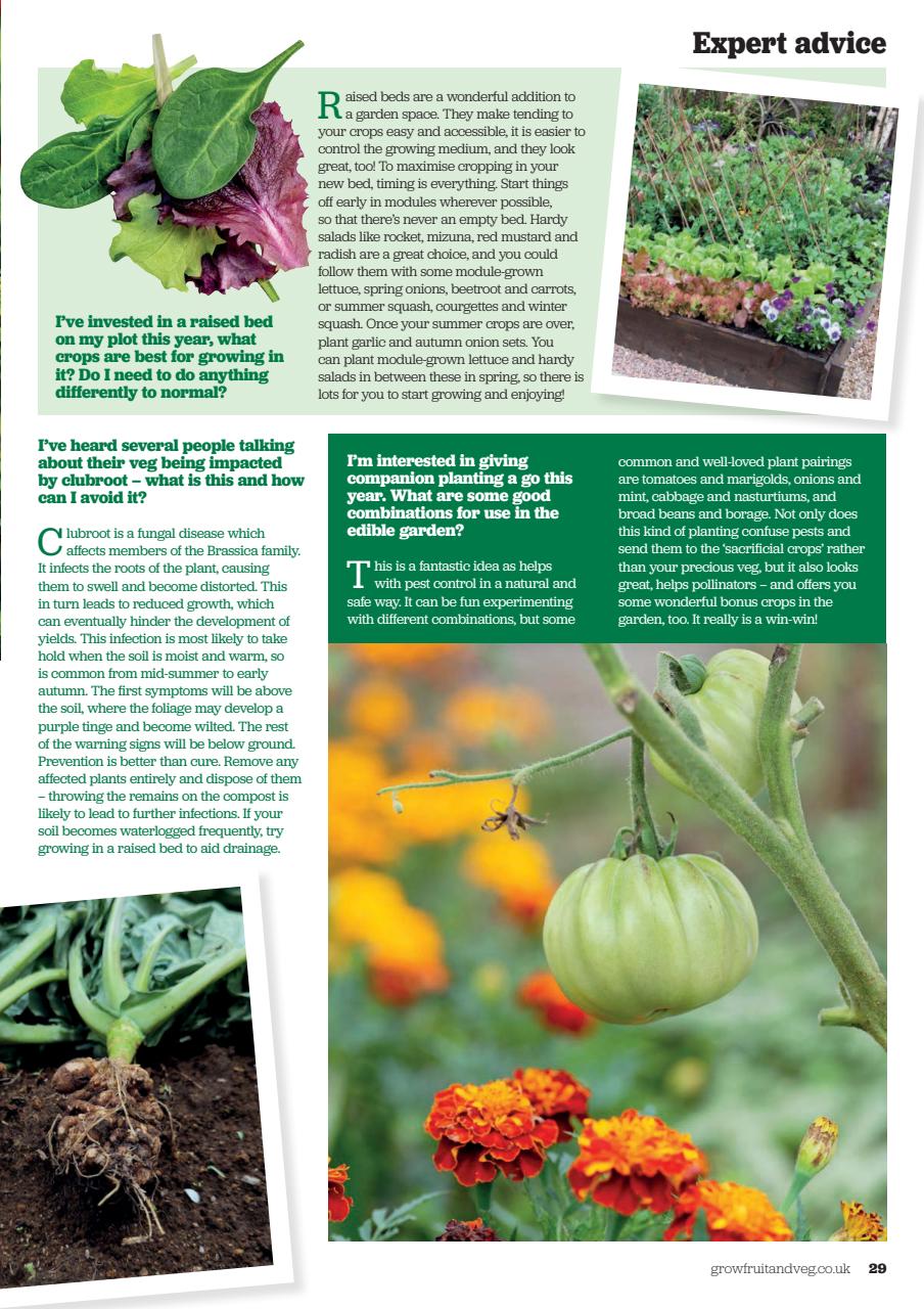 Grow Your Own Preview Pages