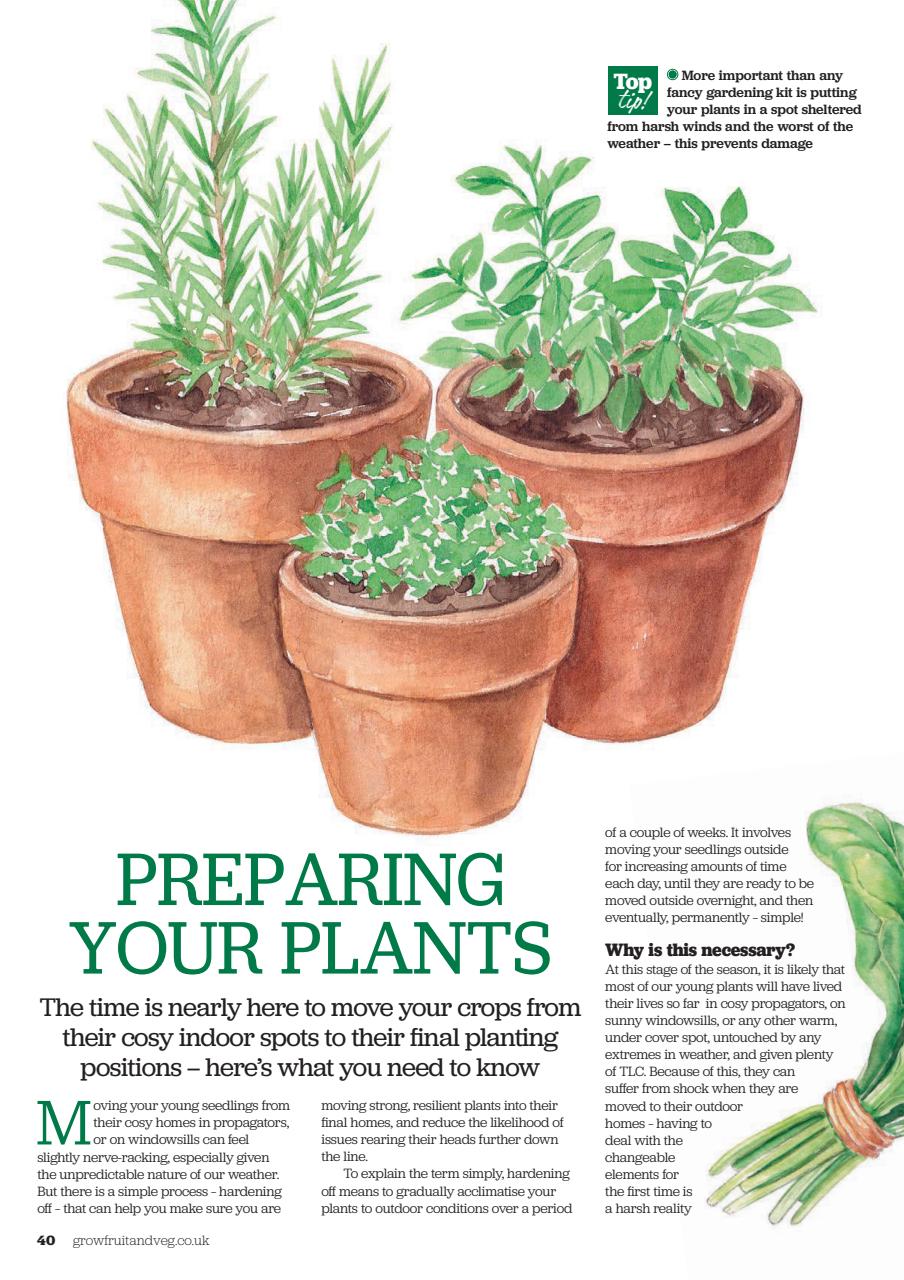 Grow Your Own Preview Pages