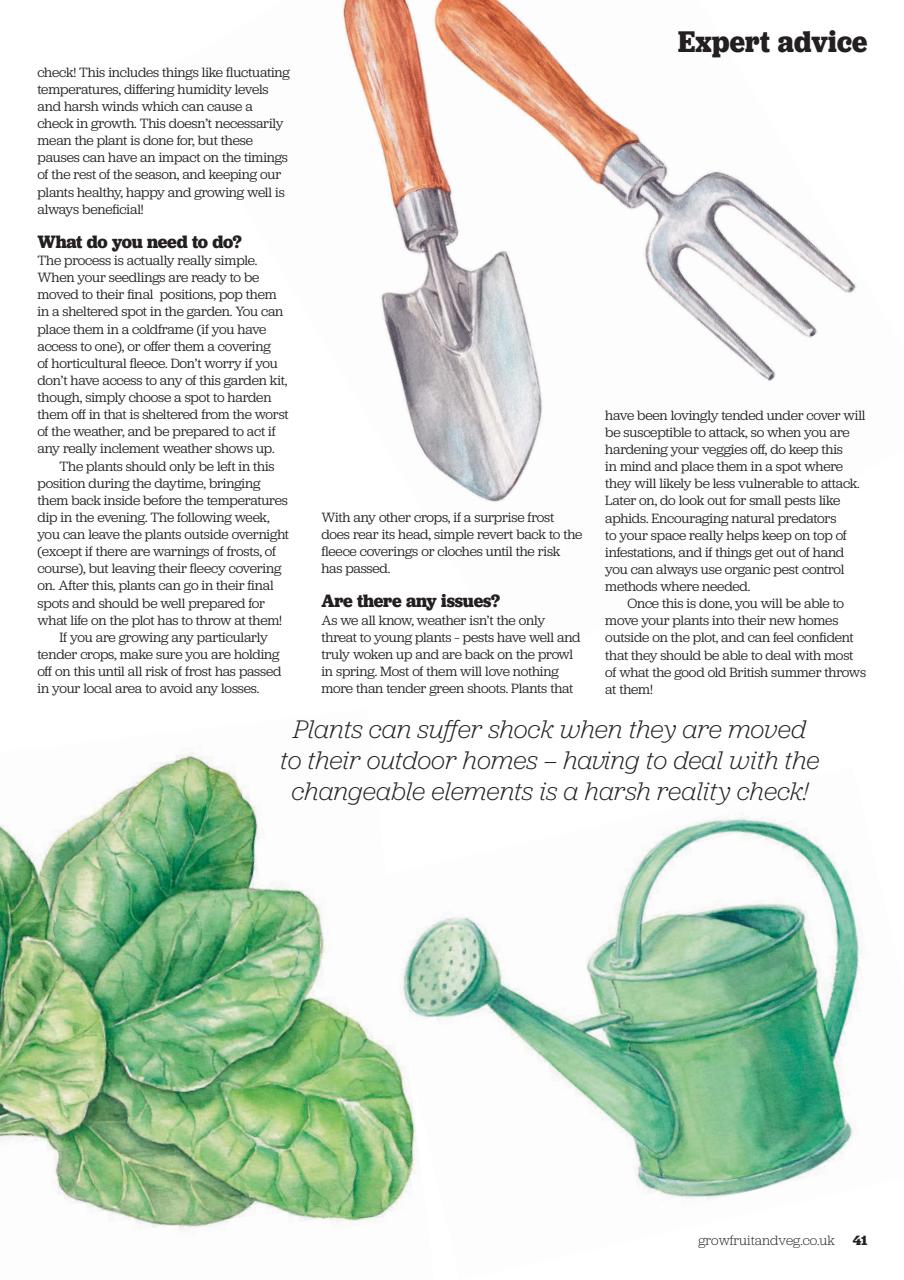 Grow Your Own Preview Pages