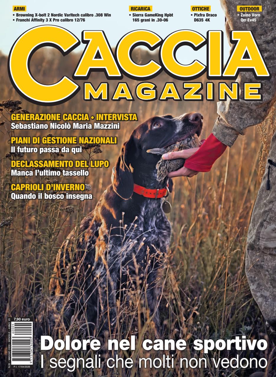 Caccia Magazine Preview Pages