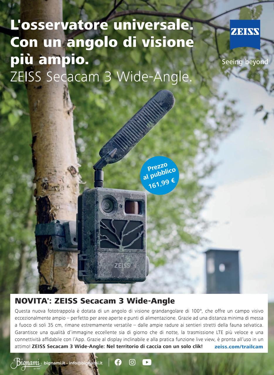 Caccia Magazine Preview Pages
