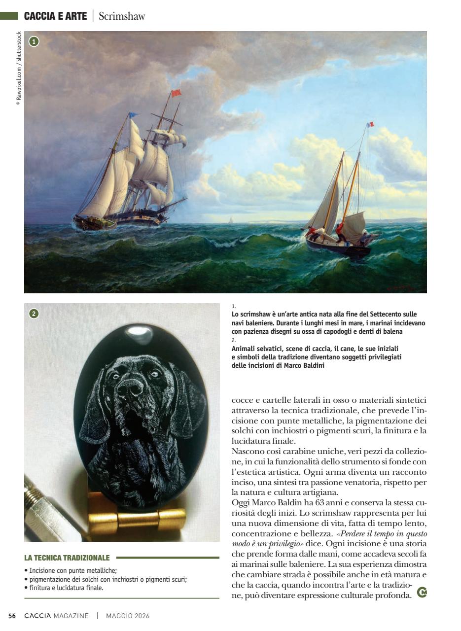 Caccia Magazine Preview Pages