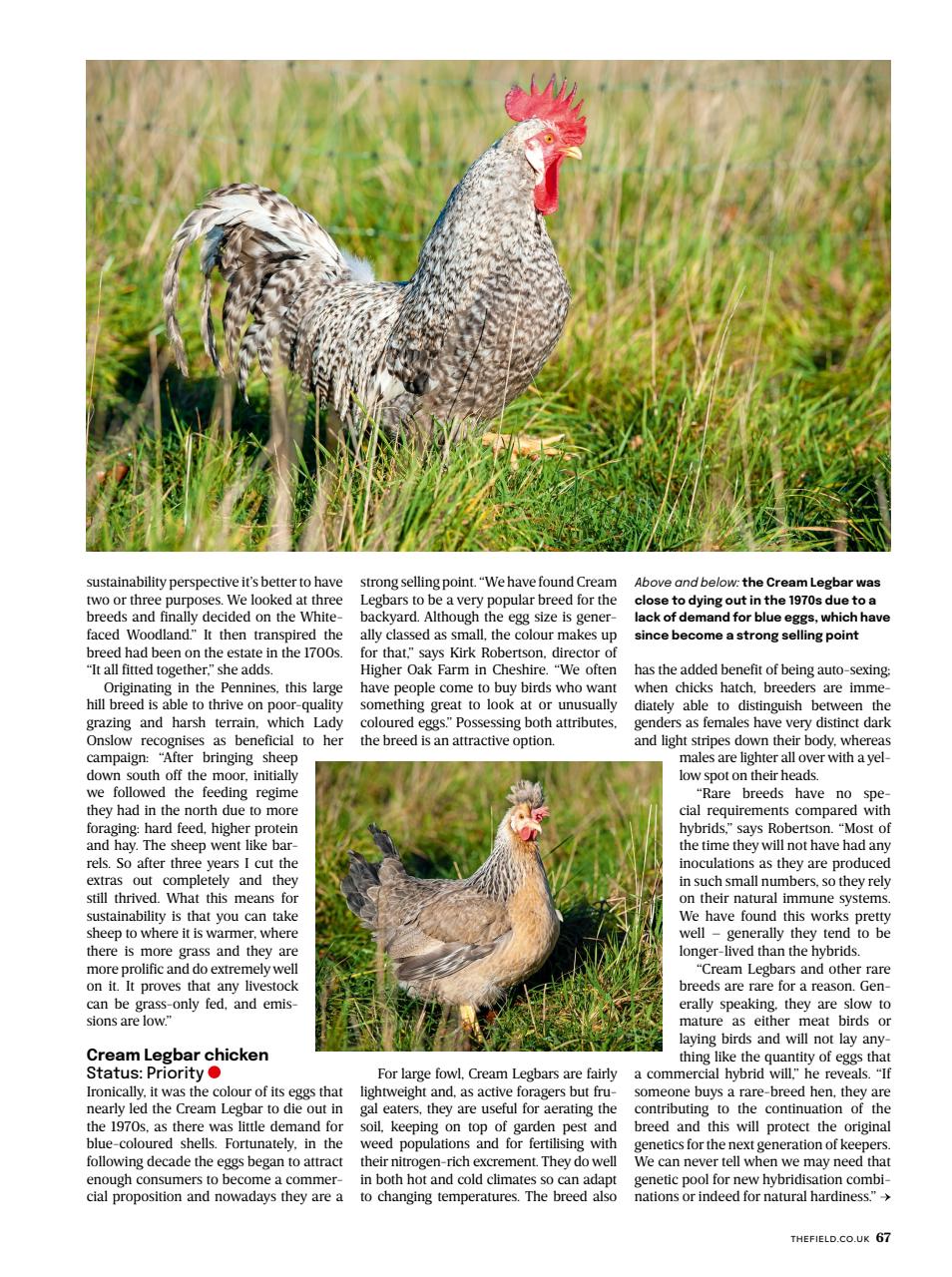 The Field Preview Pages