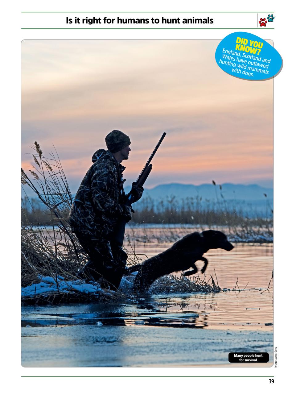 The Week Junior Bookazine Preview Pages