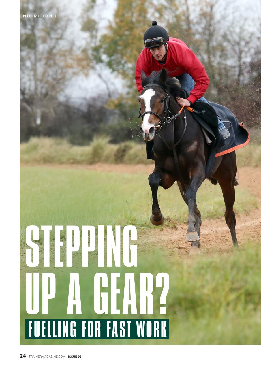 European Trainer Magazine - horse racing Preview Pages