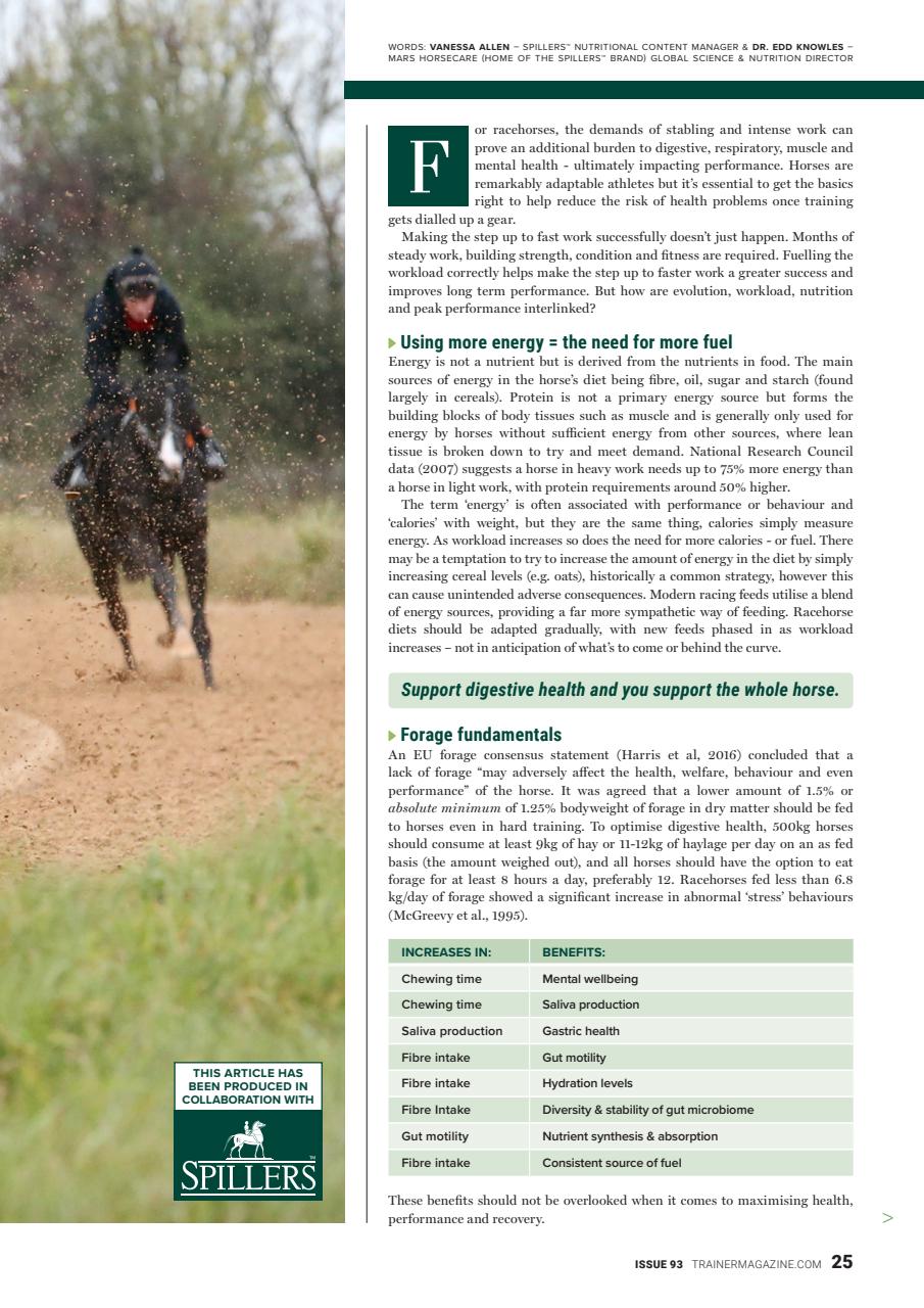 European Trainer Magazine - horse racing Preview Pages