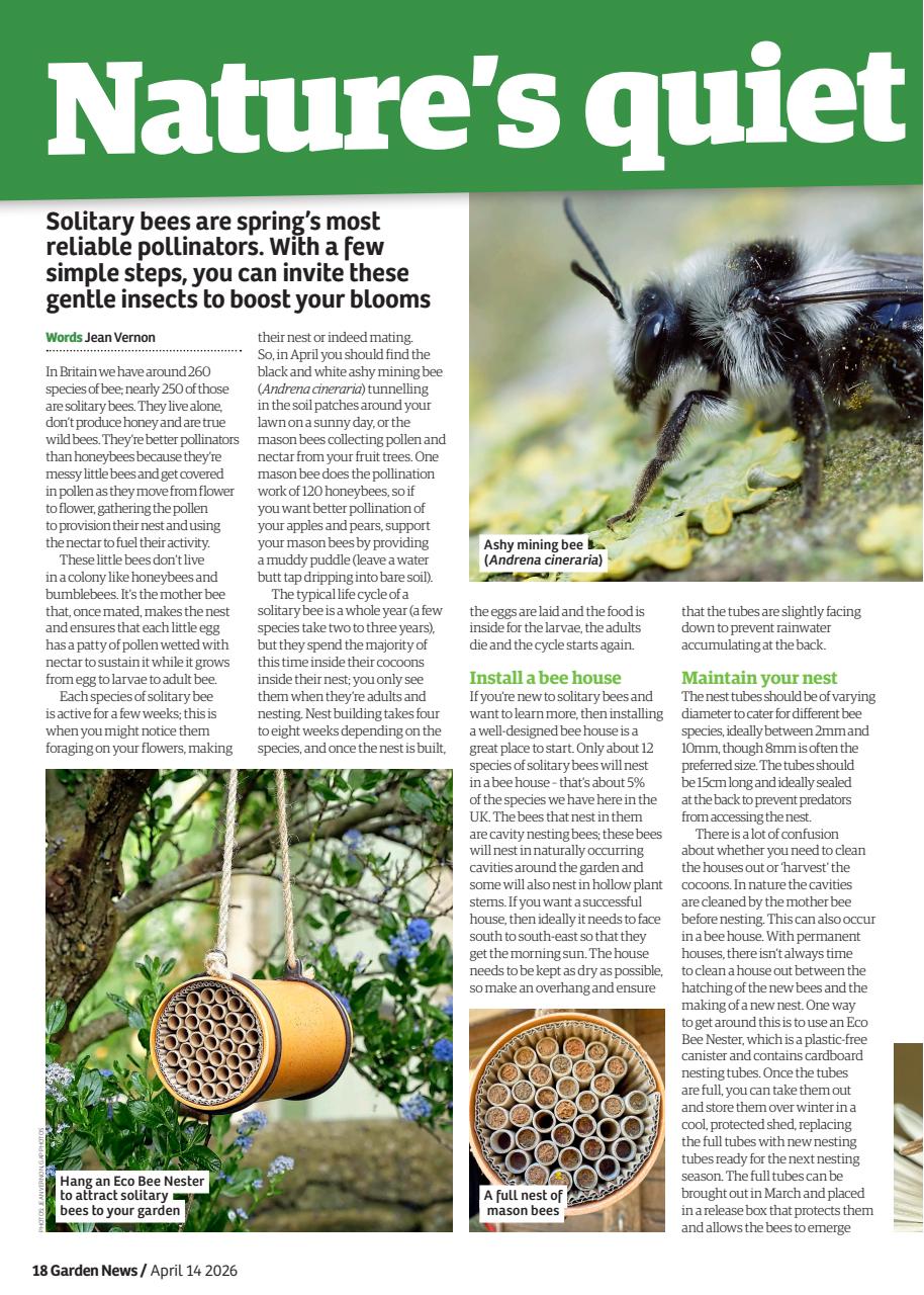 Garden News Preview Pages