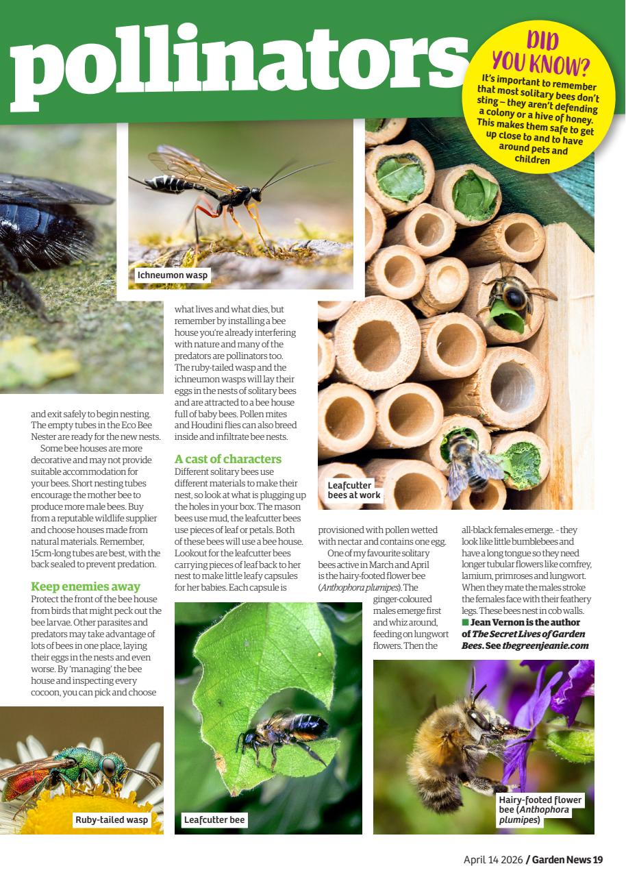 Garden News Preview Pages