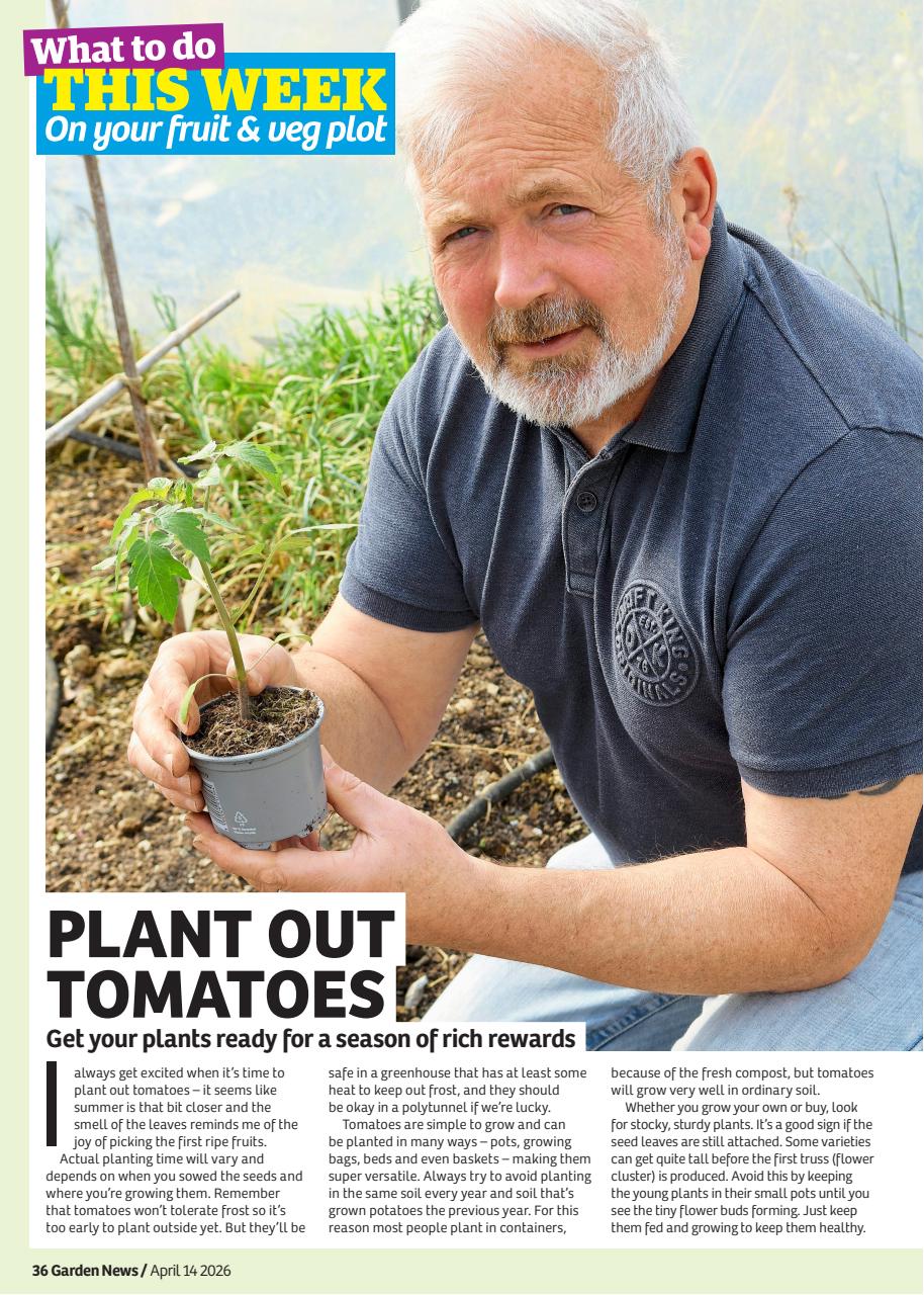 Garden News Preview Pages