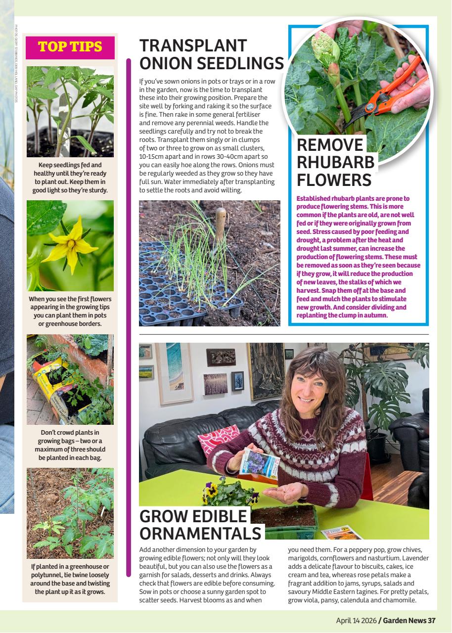 Garden News Preview Pages