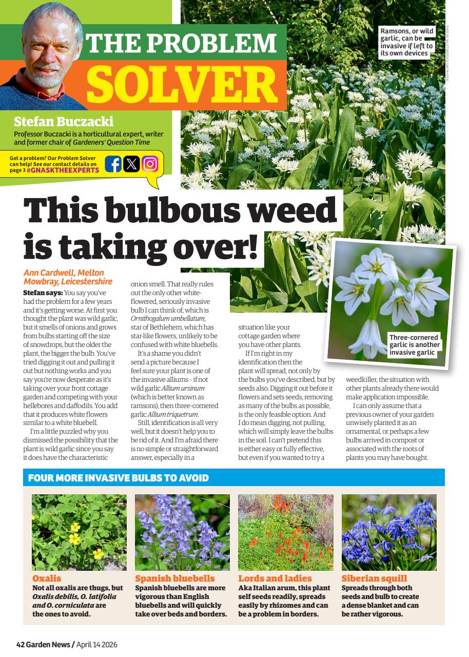 Garden News Preview Pages