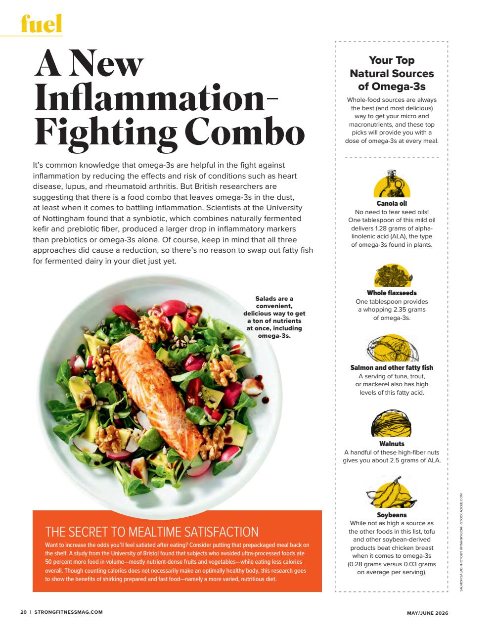 Strong Fitness Preview Pages