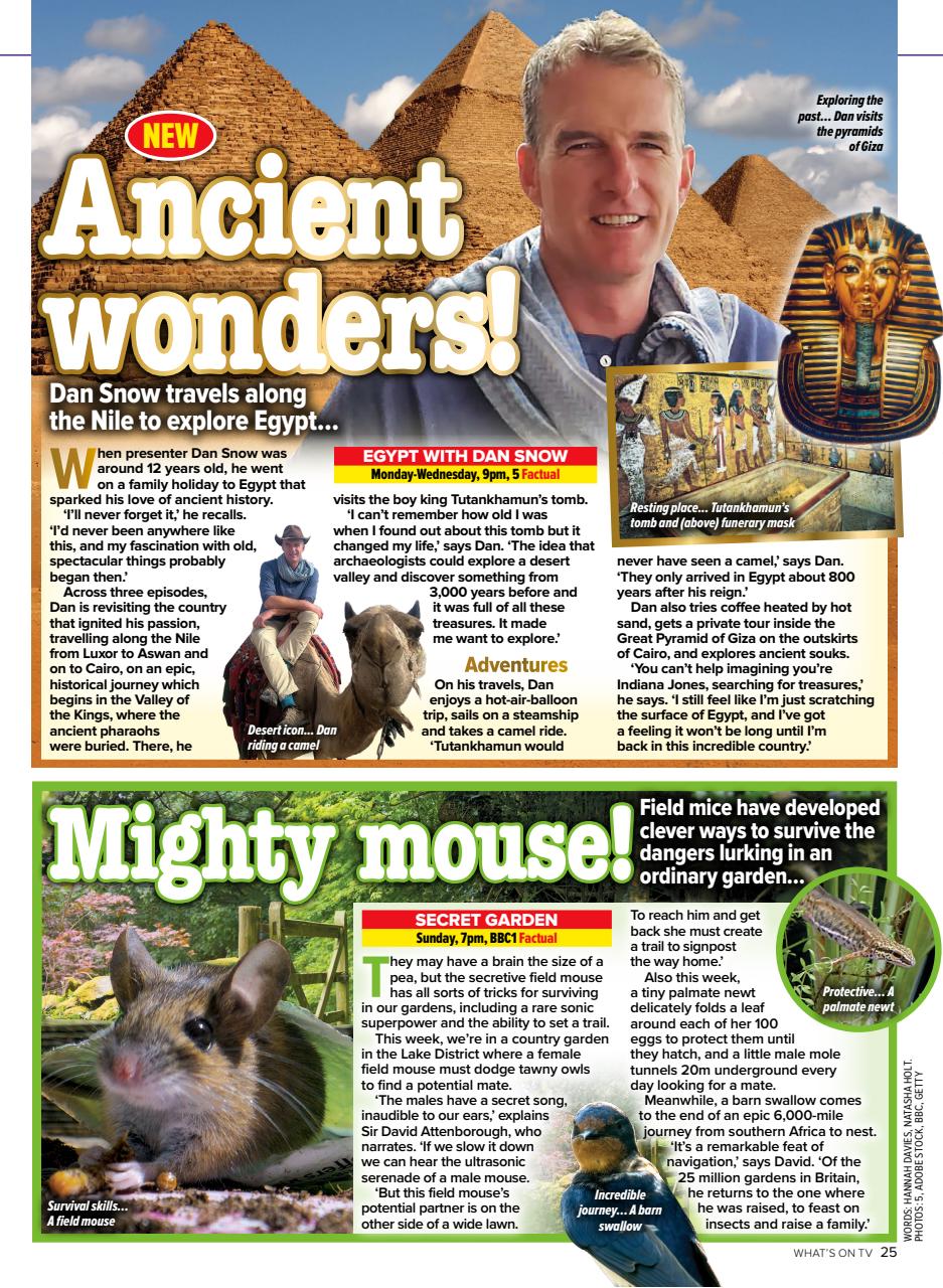 What's on TV Preview Pages