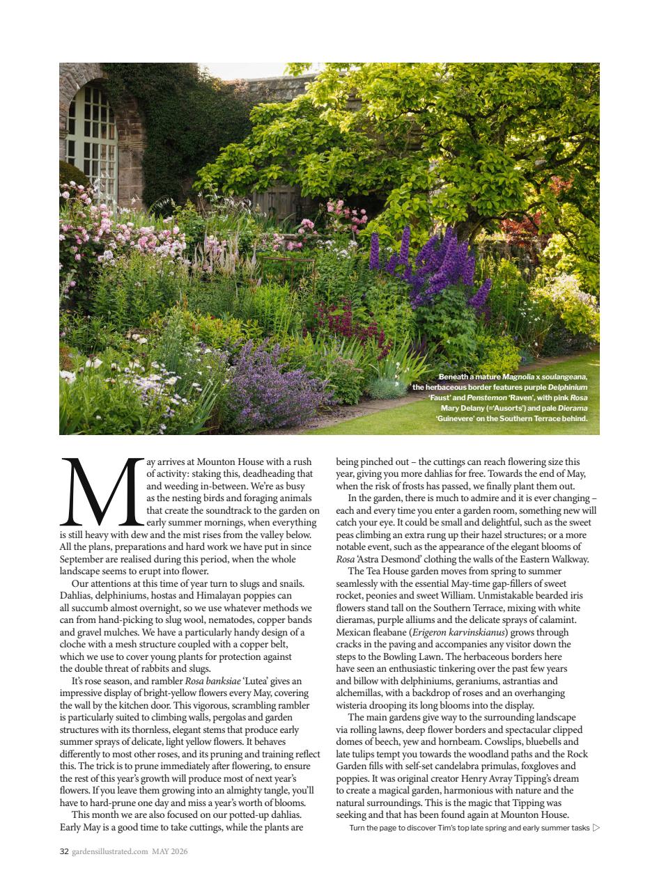 Gardens Illustrated Preview Pages