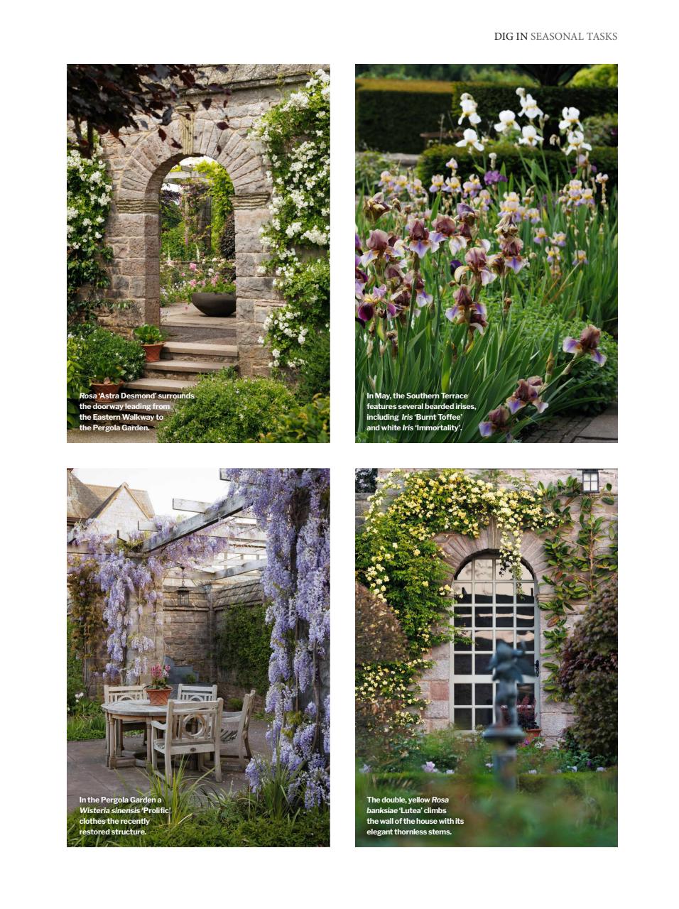 Gardens Illustrated Preview Pages