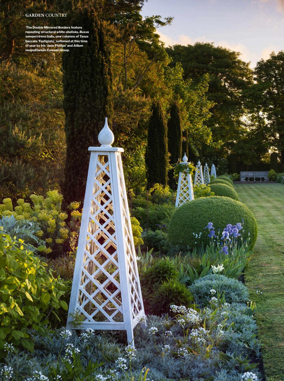 Gardens Illustrated Preview Pages