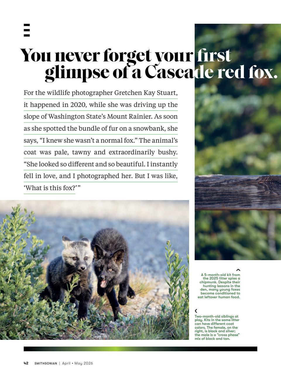 Smithsonian Magazine Preview Pages