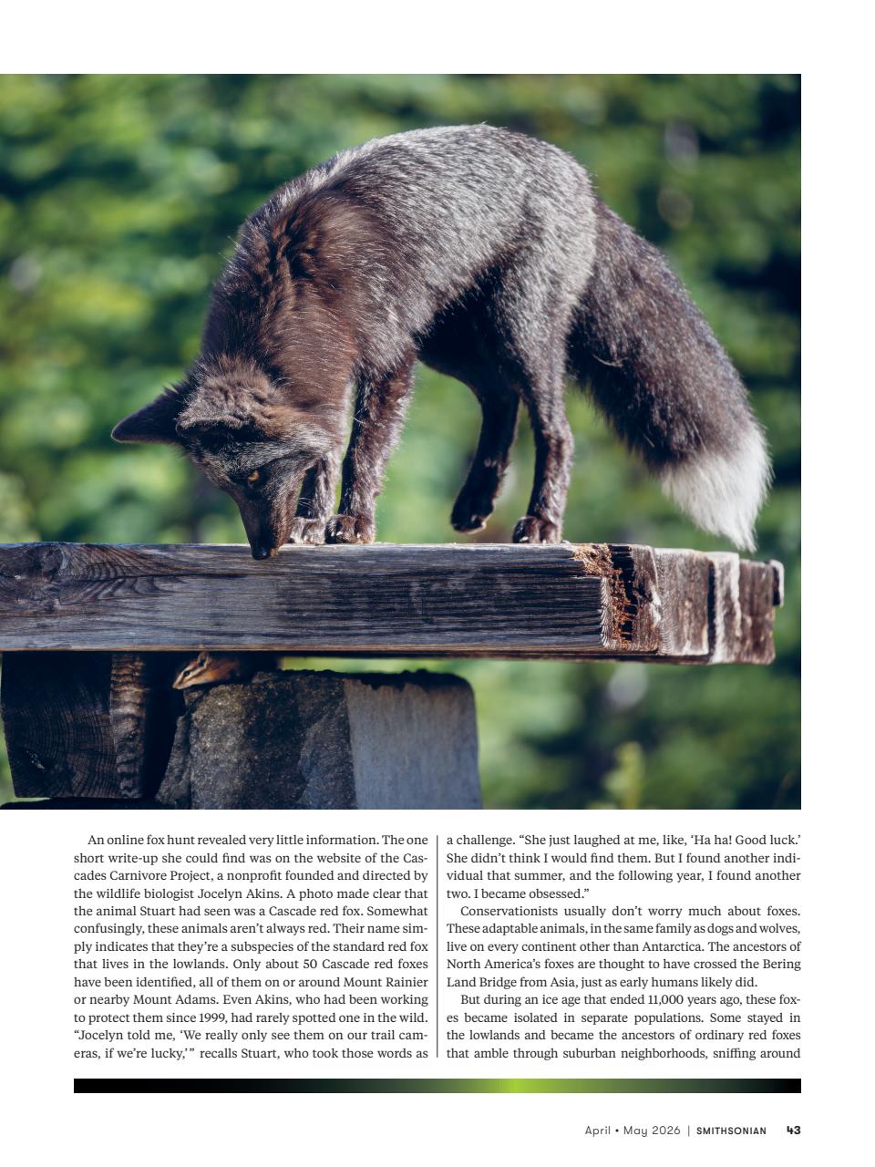 Smithsonian Magazine Preview Pages