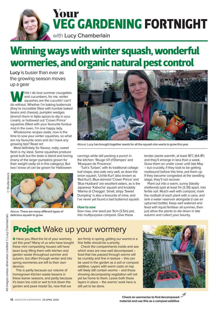 Amateur Gardening Preview Pages