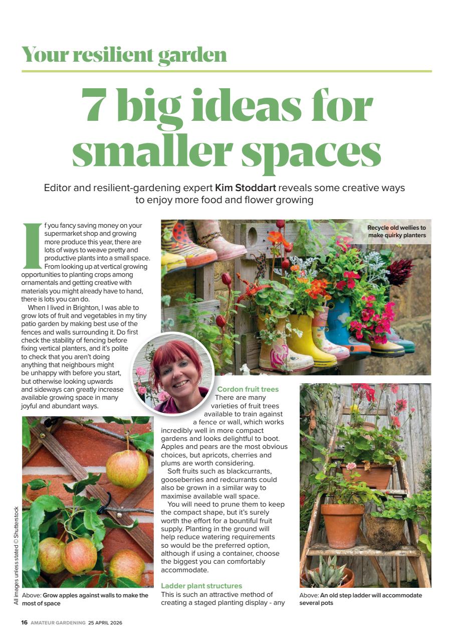 Amateur Gardening Preview Pages