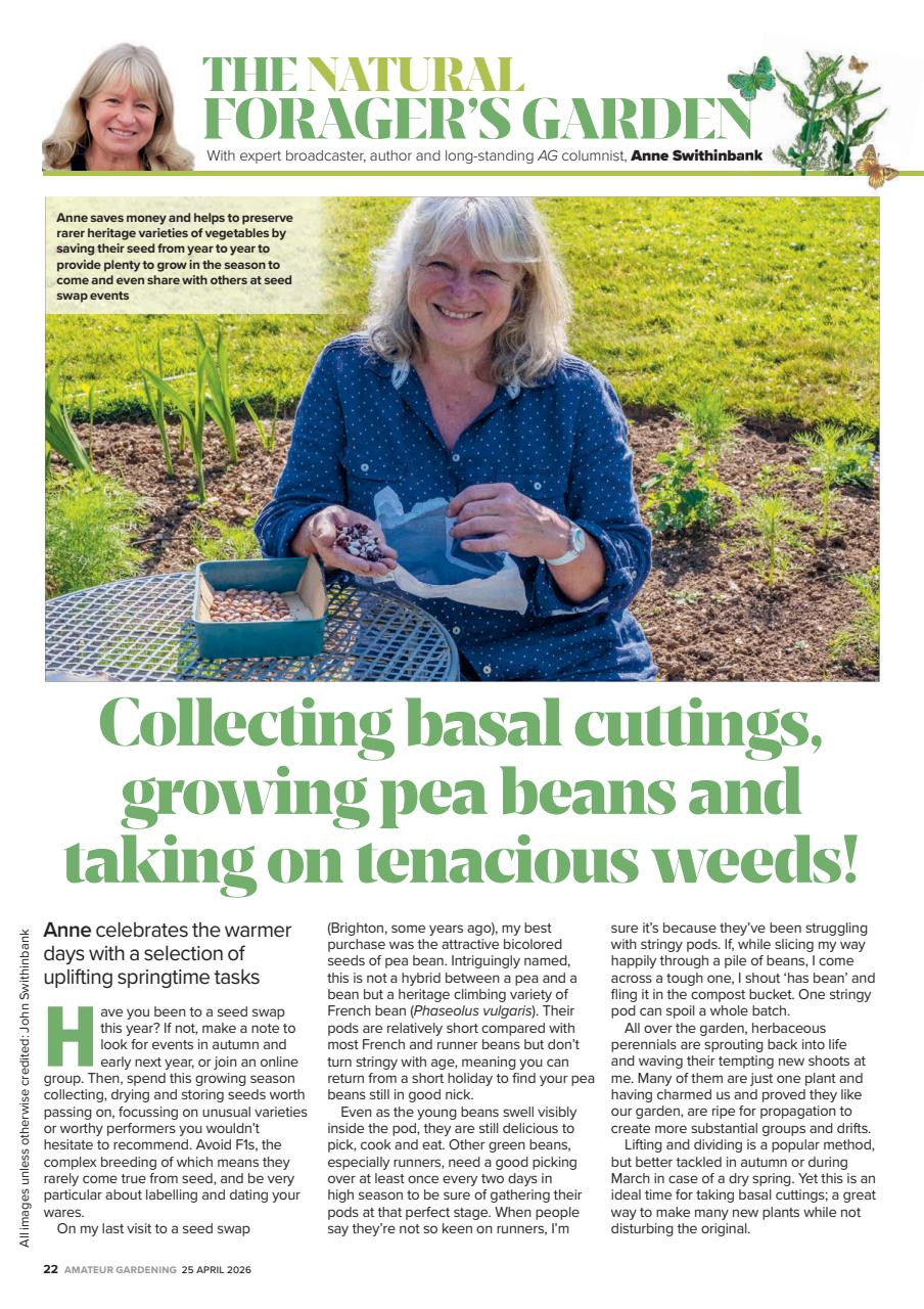 Amateur Gardening Preview Pages