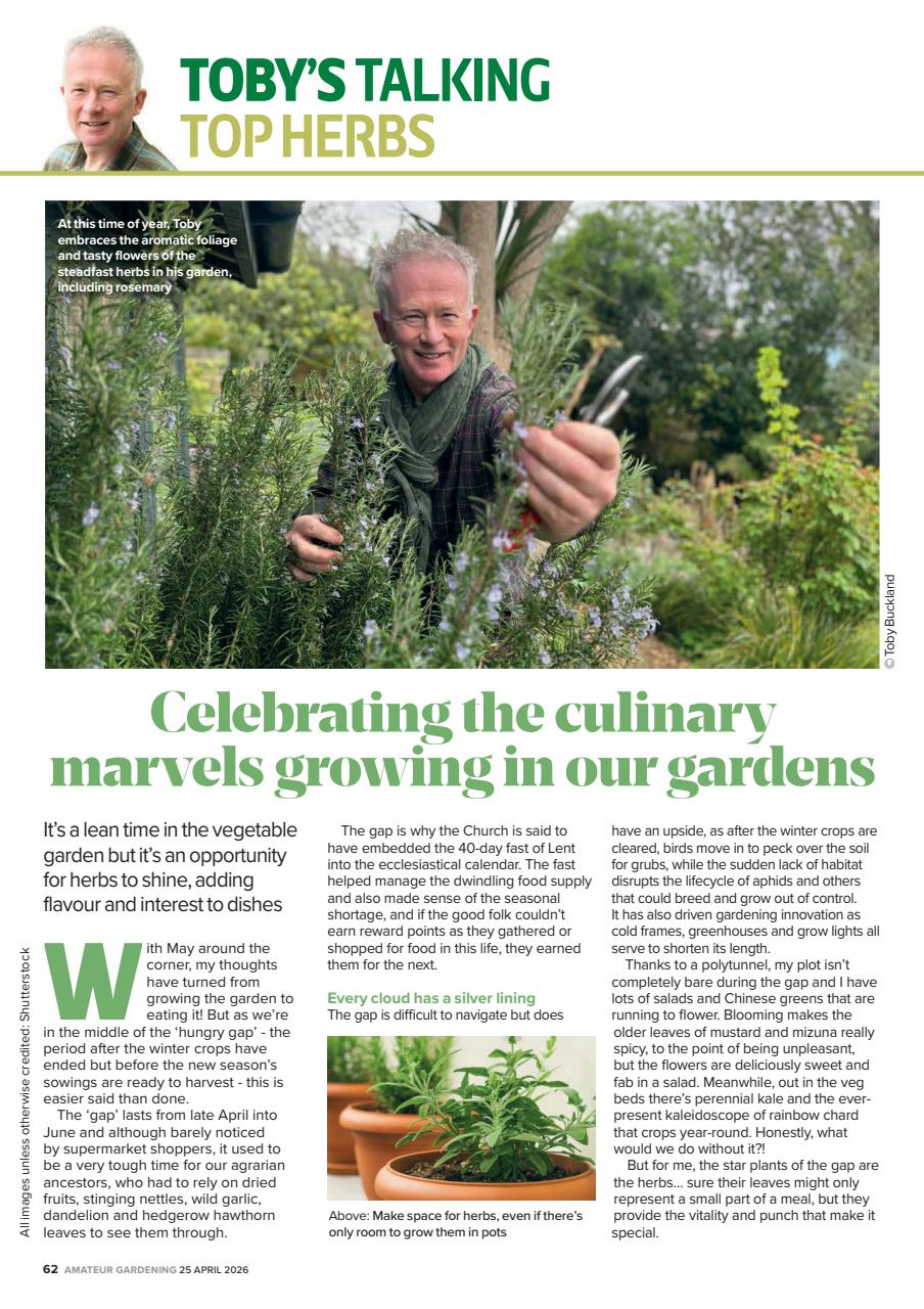 Amateur Gardening Preview Pages