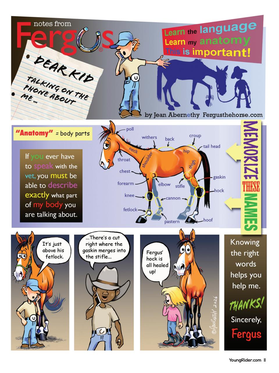 Young Rider Magazine Preview Pages