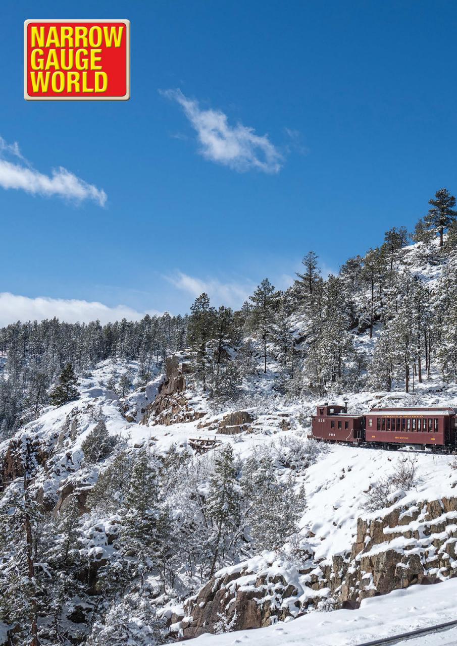 Narrow Gauge World Preview Pages