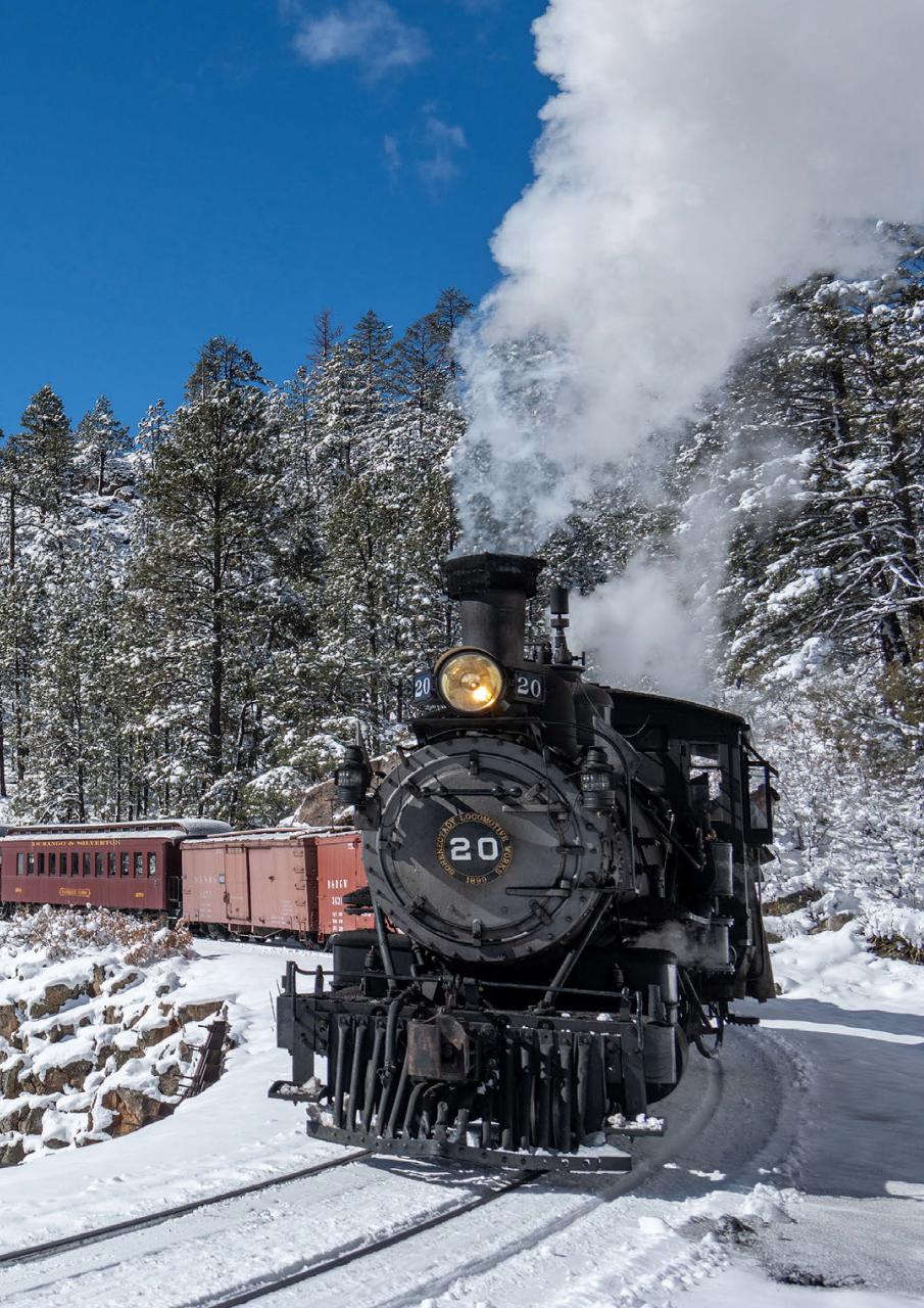 Narrow Gauge World Preview Pages