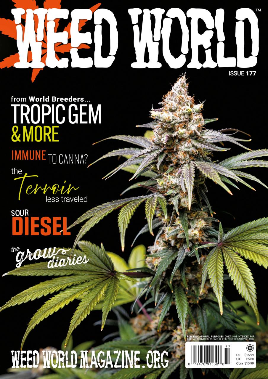 Weed World Preview Pages