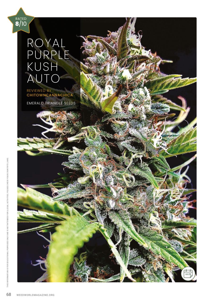 Weed World Preview Pages