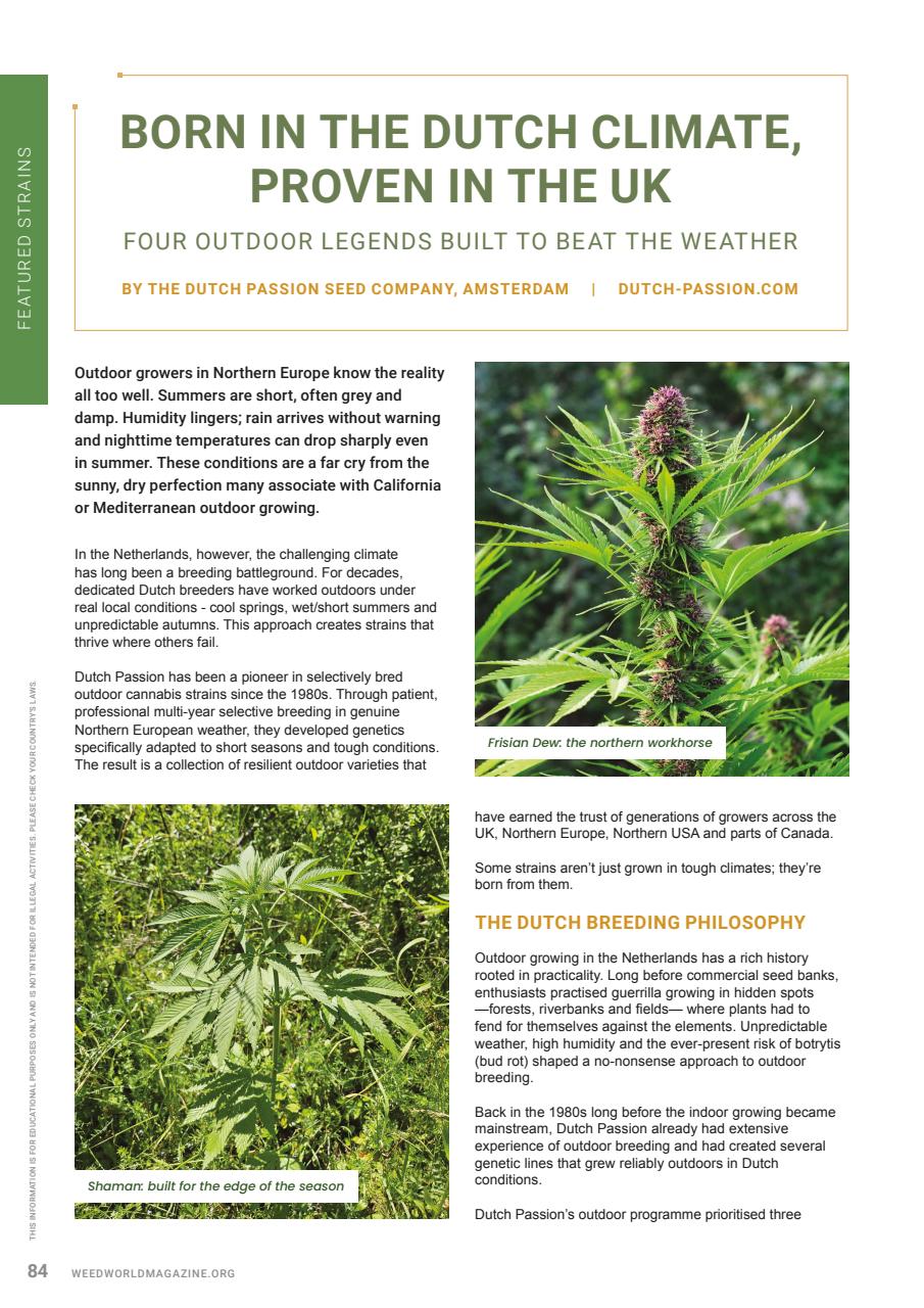 Weed World Preview Pages