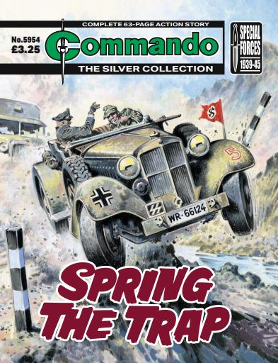 Commando issue 