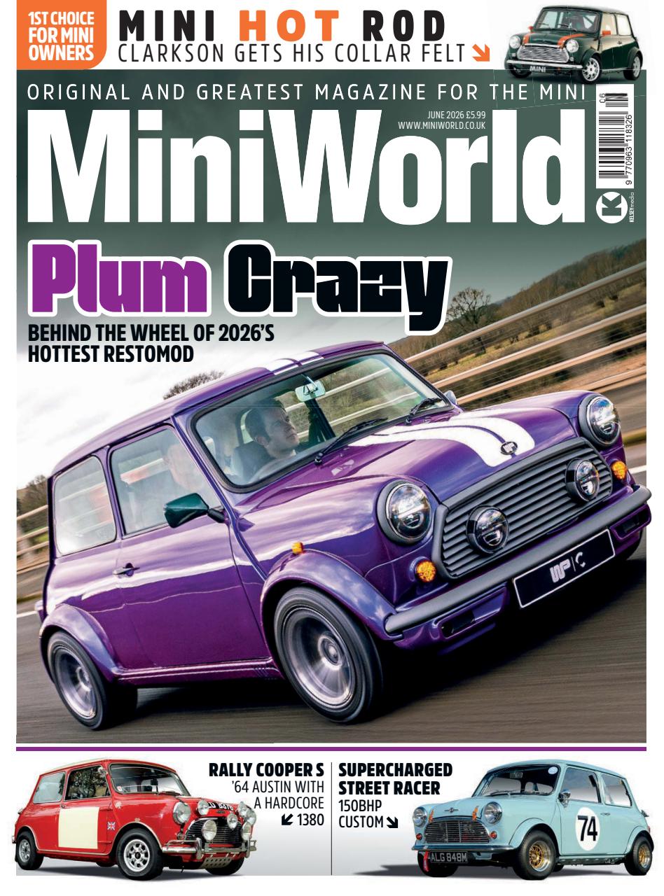 Mini World Preview Pages