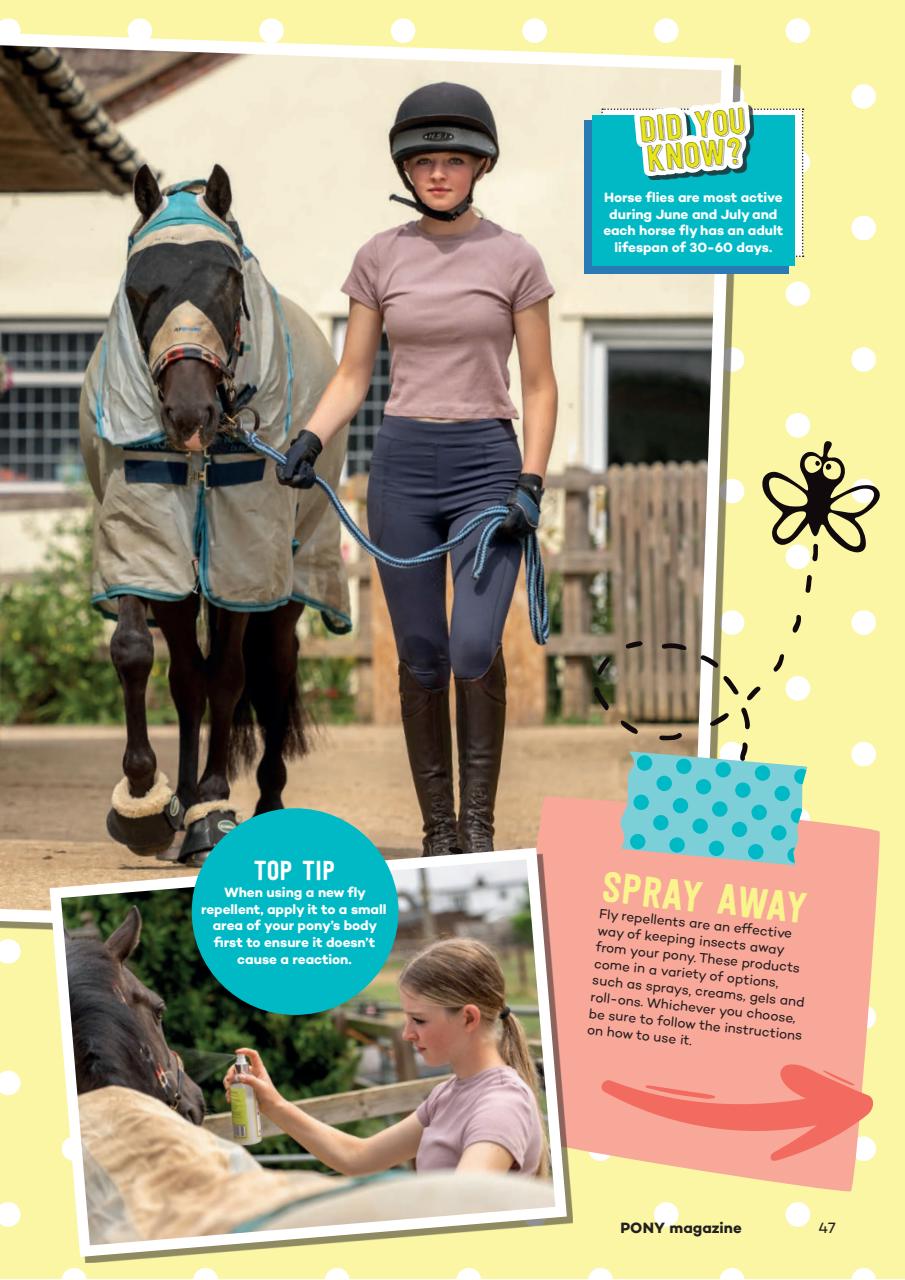 Pony Magazine Preview Pages