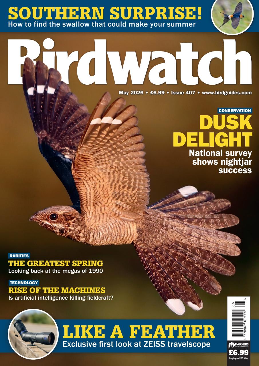 Birdwatch Magazine Preview Pages