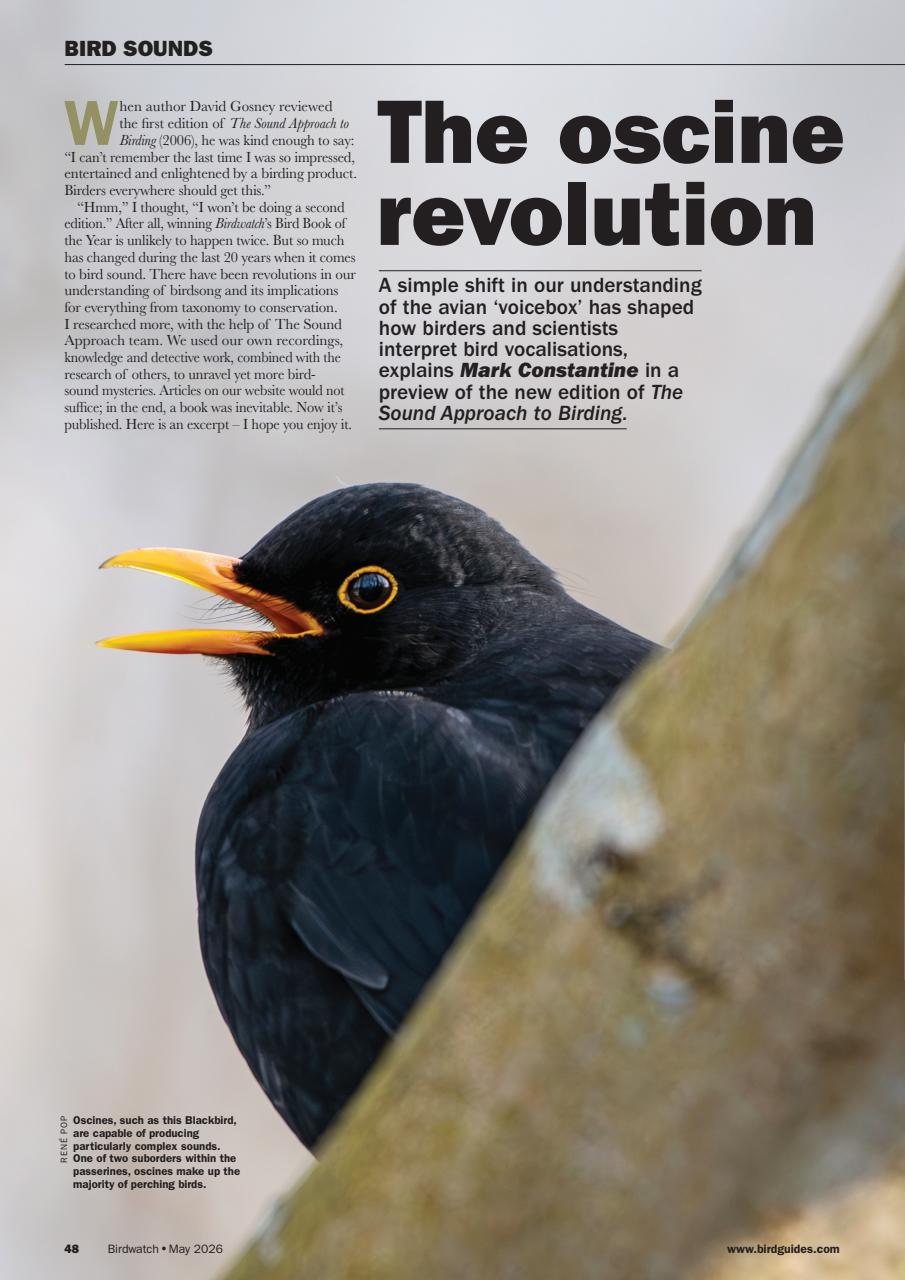 Birdwatch Magazine Preview Pages