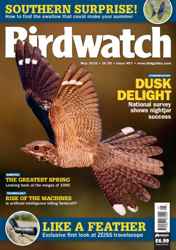 Birdwatch Magazine Complete Your Collection Cover 1