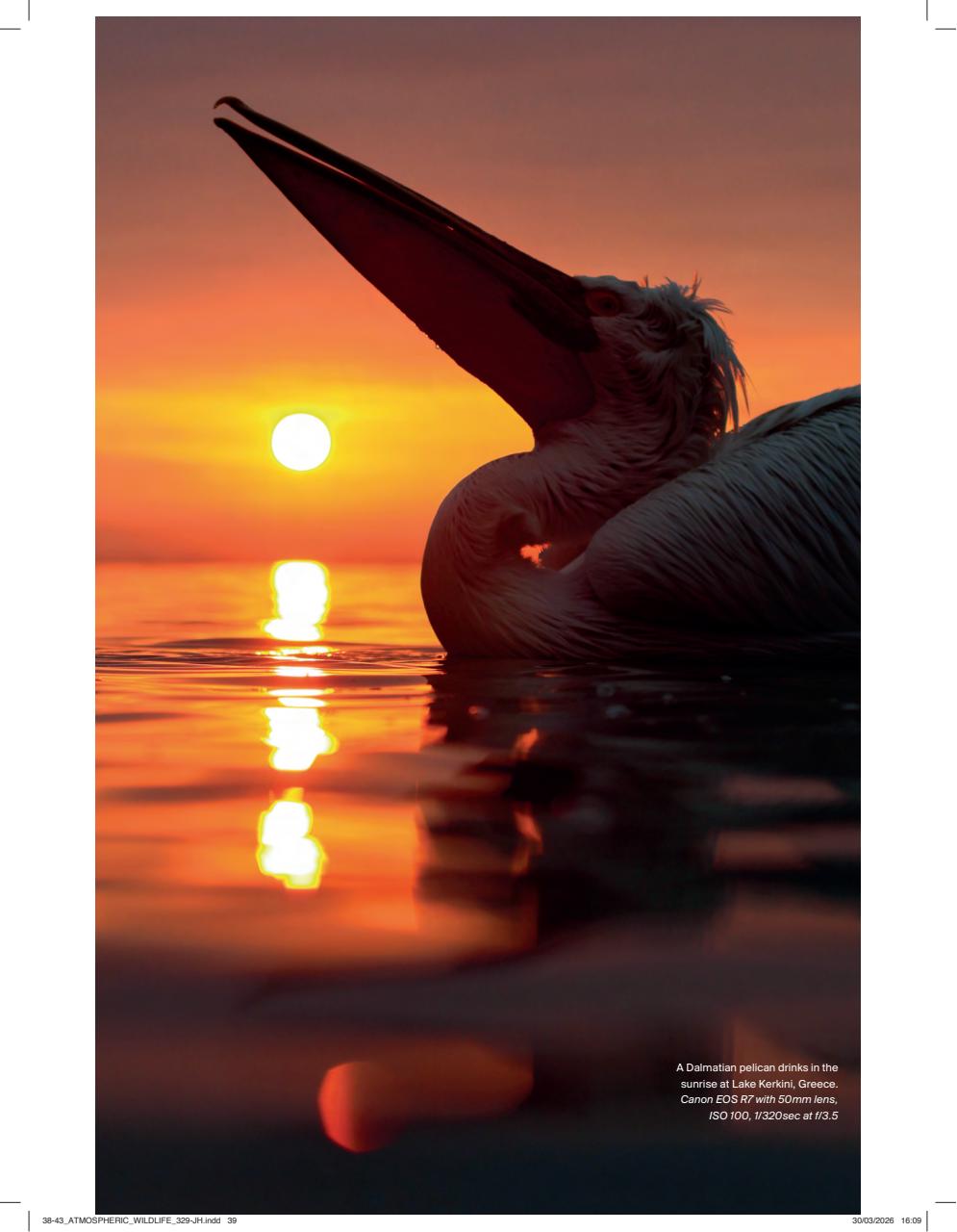 Outdoor Photography Preview Pages