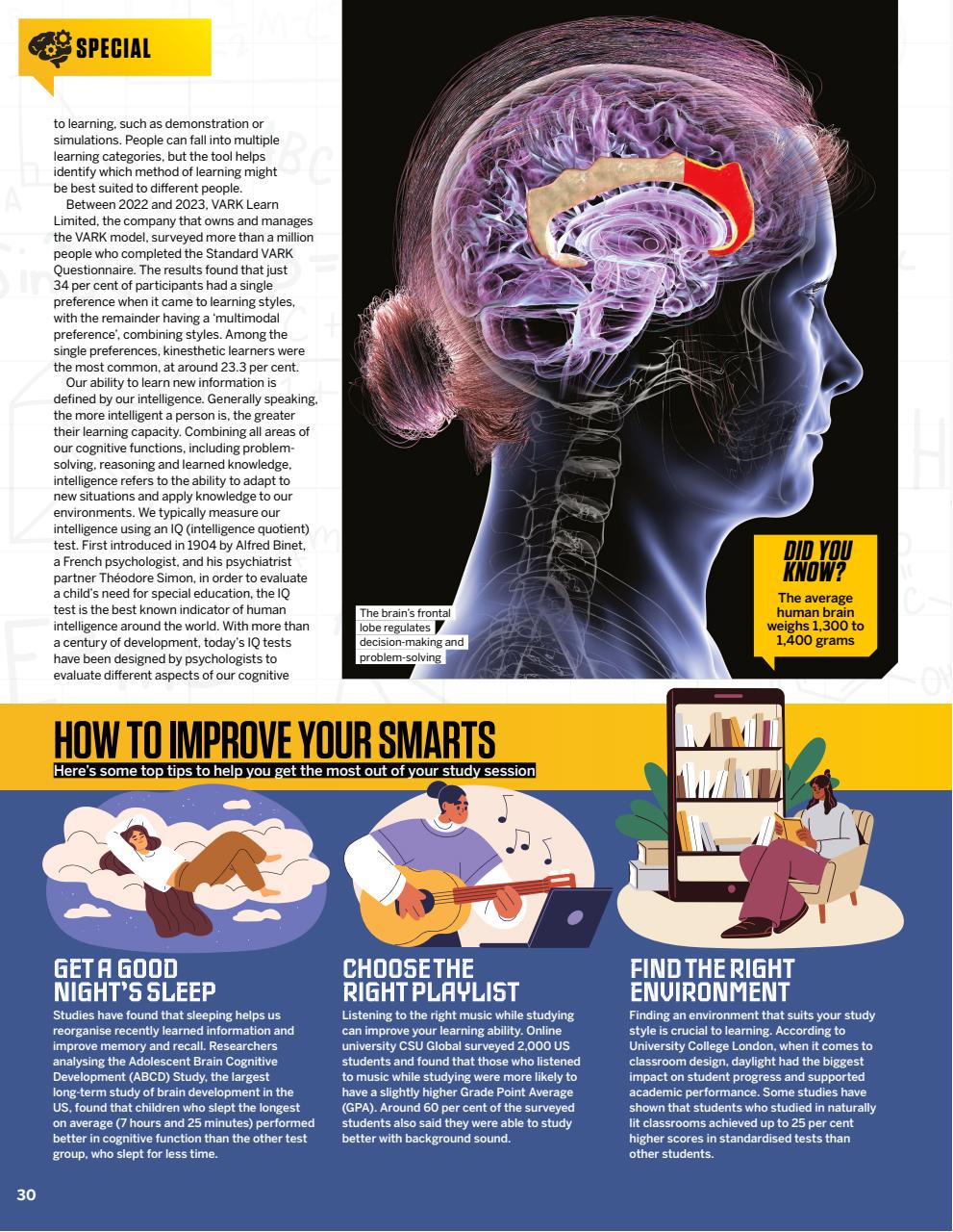 How It Works Preview Pages