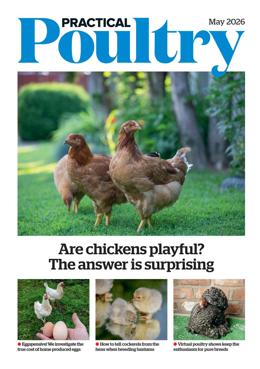 The Country Smallholder Preview Pages