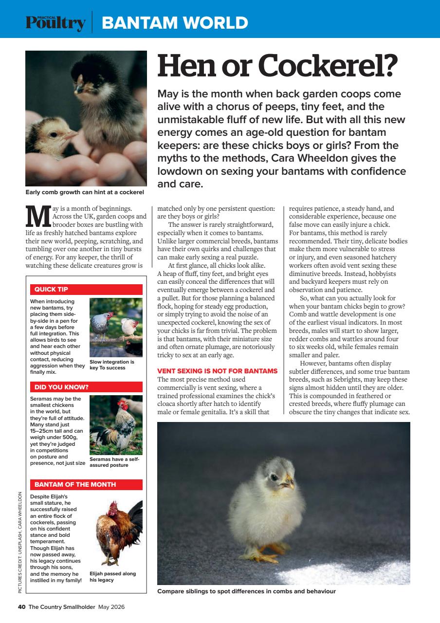 The Country Smallholder Preview Pages