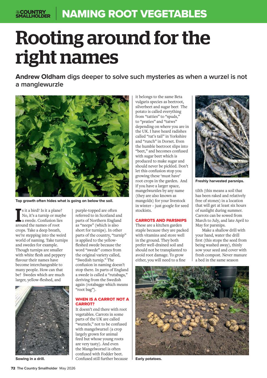 The Country Smallholder Preview Pages