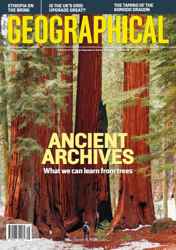 Geographical Discounts