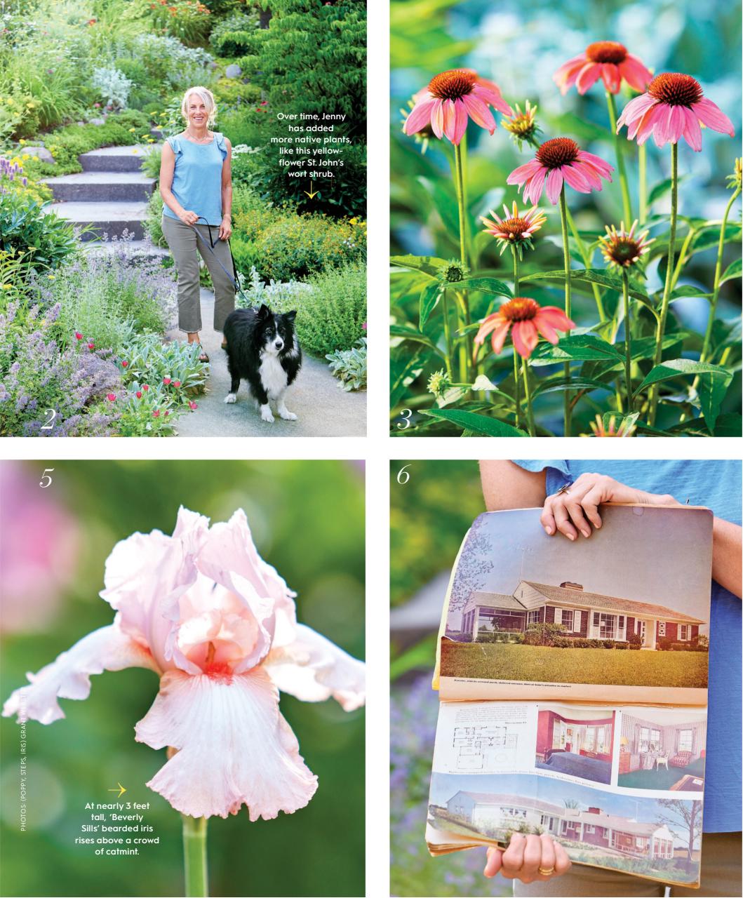 Better Homes & Gardens (US) Preview Pages